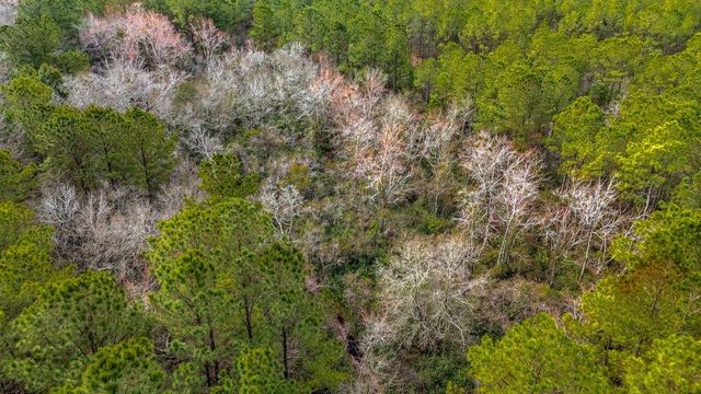 9060 Black Creek Rd., Nichols, SC 29581