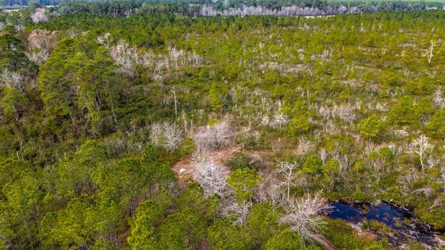 9060 Black Creek Rd., Nichols, SC 29581