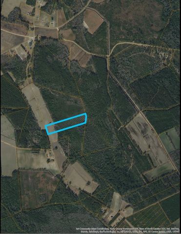 9060 Black Creek Rd., Nichols, SC 29581