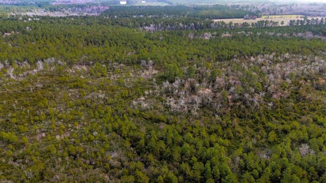 9060 Black Creek Rd., Nichols, SC 29581