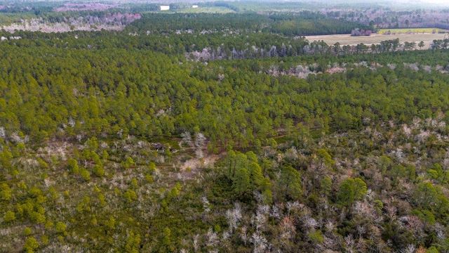 9060 Black Creek Rd., Nichols, SC 29581