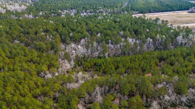 9060 Black Creek Rd., Nichols, SC 29581