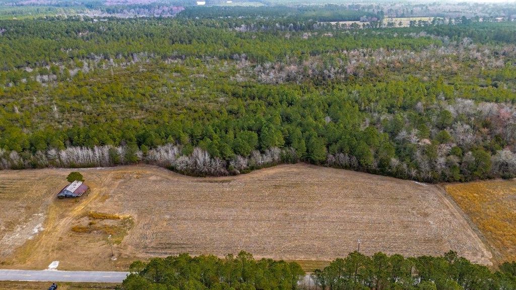 9060 Black Creek Rd., Nichols, SC 29581