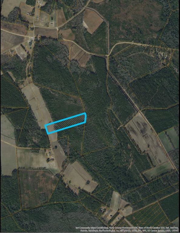 9060 Black Creek Rd., Nichols, SC 29581 — photo 2