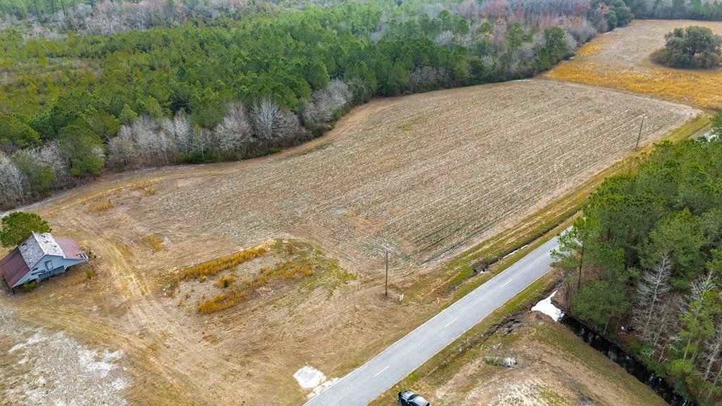 9060 Black Creek Rd., Nichols, SC 29581 — photo 3