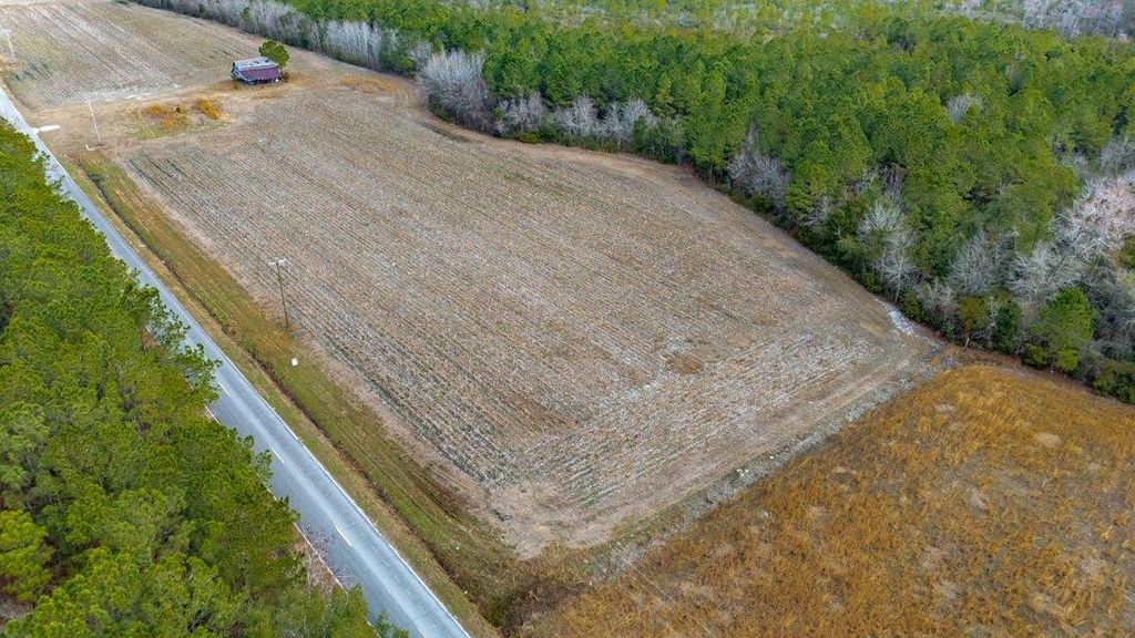 9060 Black Creek Rd., Nichols, SC 29581 — photo 4