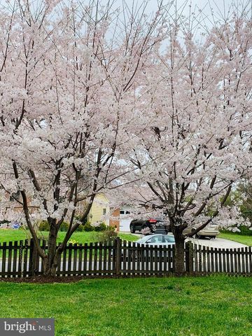 6703 HALLWOOD AVE, Falls Church, VA 22046