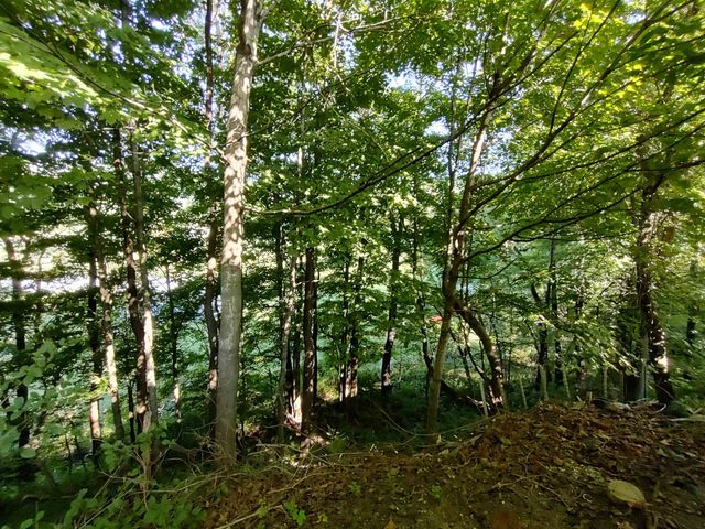 178 Church Street, Bethel, VT 05032