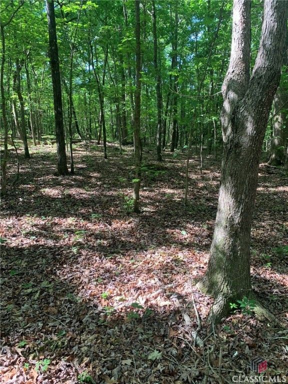 7700 Poole Circle Tract A, Alto, GA 30510