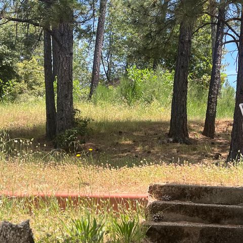111-115 Ponderosa Way, Colfax, CA 95713