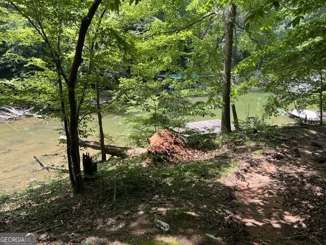 5585 Browns Bridge Road, Cumming, GA 30041