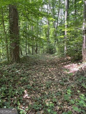 5585 Browns Bridge Road, Cumming, GA 30041