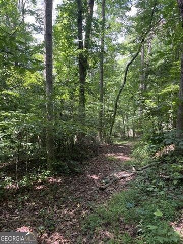 5585 Browns Bridge Road, Cumming, GA 30041