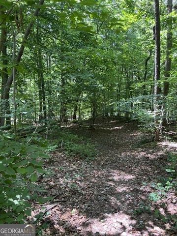 5585 Browns Bridge Road, Cumming, GA 30041