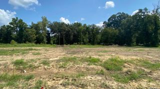 35706 Sha Da Loo Lane, Geismar, LA 70734