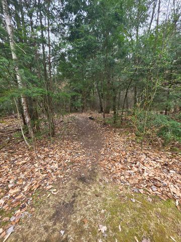 48C Starbird Road, Jericho, VT 05465