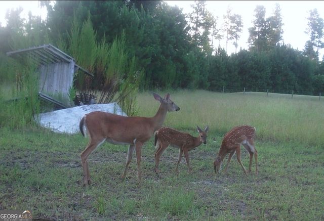 1980 Old Traders Hill Road, Folkston, GA 31537