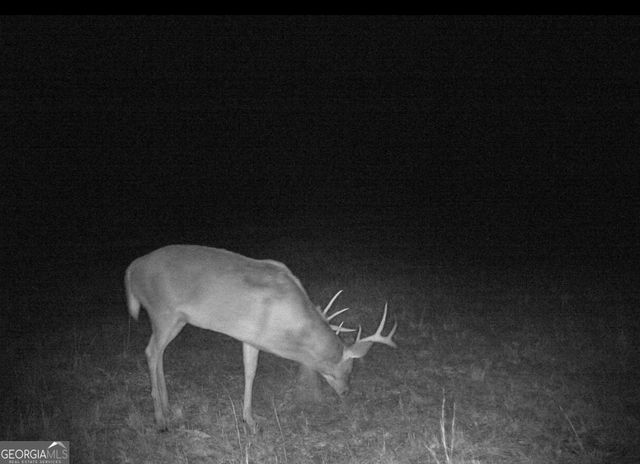 1980 Old Traders Hill Road, Folkston, GA 31537