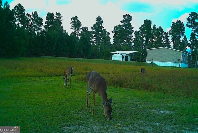 1980 Old Traders Hill Road, Folkston, GA 31537