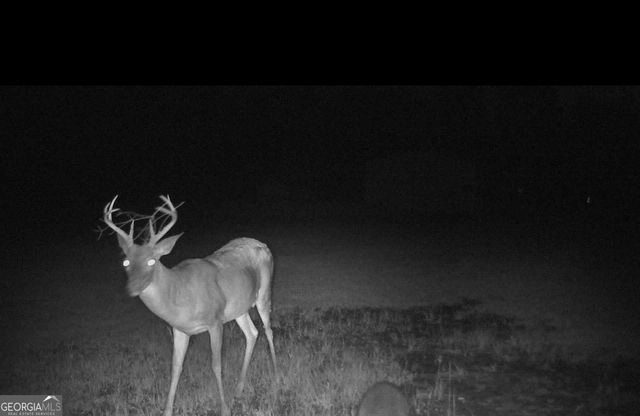 1980 Old Traders Hill Road, Folkston, GA 31537