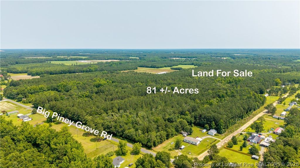 Big Piney Grove Road, Clinton, NC 28328 — photo 2