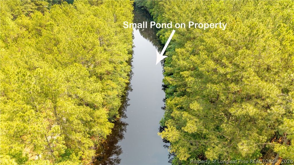 Big Piney Grove Road, Clinton, NC 28328 — photo 4