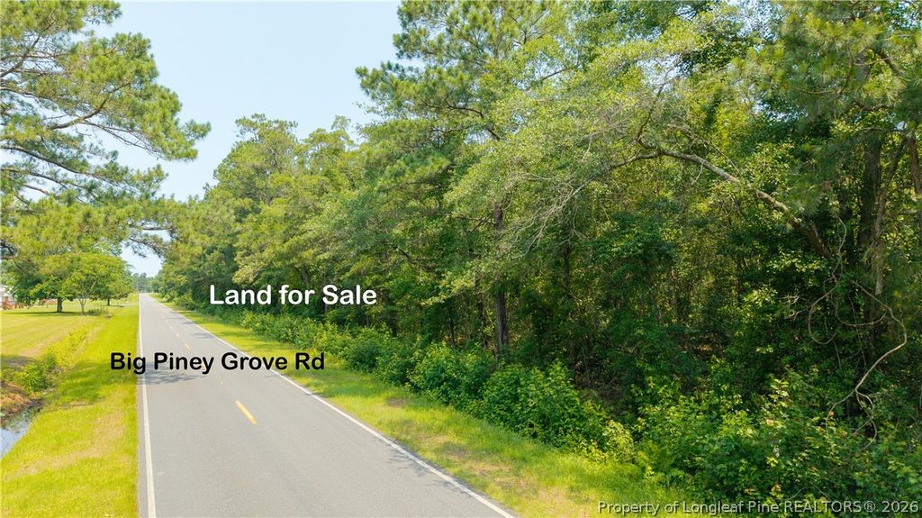 Big Piney Grove Road, Clinton, NC 28328 — photo 5