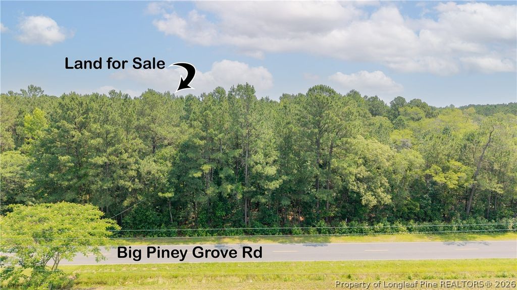 Big Piney Grove Road, Clinton, NC 28328 — photo 6