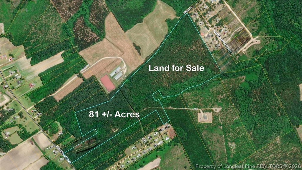 Big Piney Grove Road, Clinton, NC 28328 — photo 7