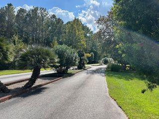 Lot 24 Greenwood Plantation Black Cypress Drive, Darien, GA 31305