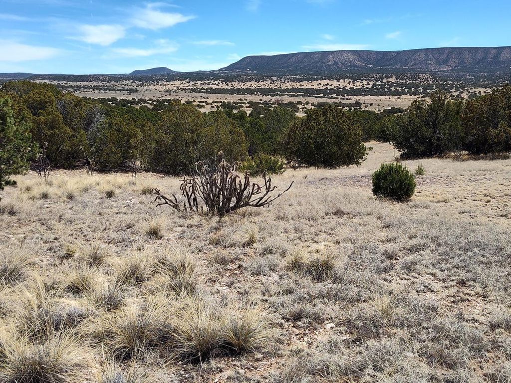 Highway 60, Mountainair, NM 87036