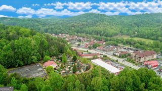 8065 S Main Street, Helen, GA 30545
