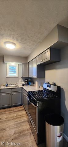 530 Lawnview Avenue, Painesville, OH 44077