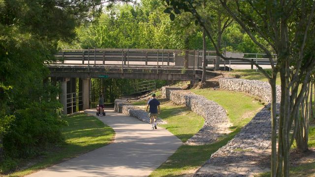 1147 Sopris Drive, Houston, TX 77077