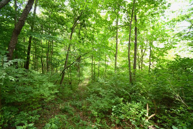 250 S Main Street, Mount Gilead, OH 43338