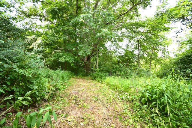 250 S Main Street, Mount Gilead, OH 43338