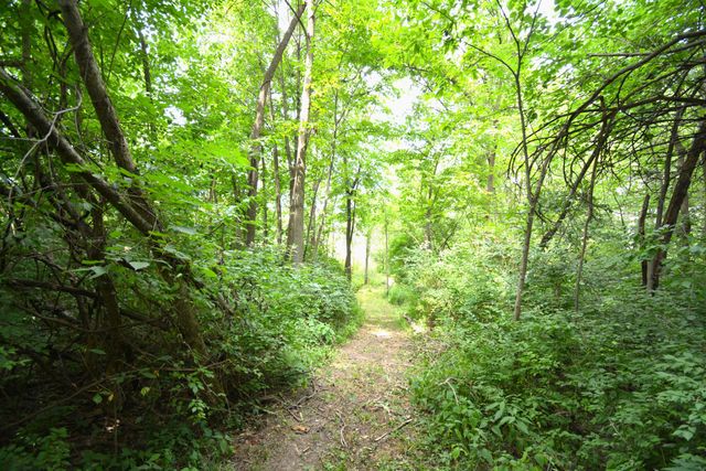 250 S Main Street, Mount Gilead, OH 43338