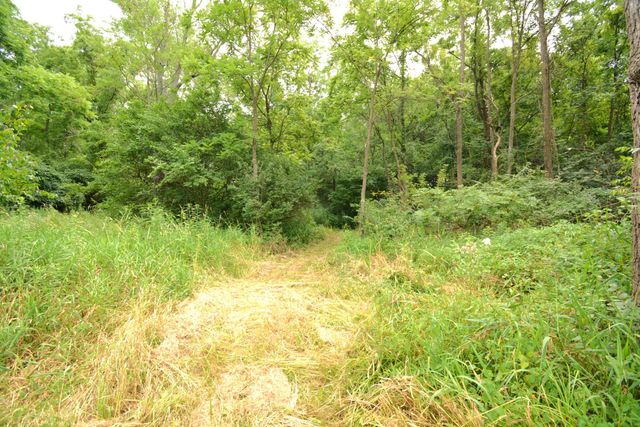 250 S Main Street, Mount Gilead, OH 43338