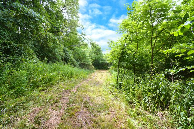 250 S Main Street, Mount Gilead, OH 43338