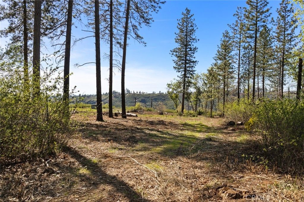 Image 3 of property listing at 2922 Lost Ridge Way, Oroville, CA 95965