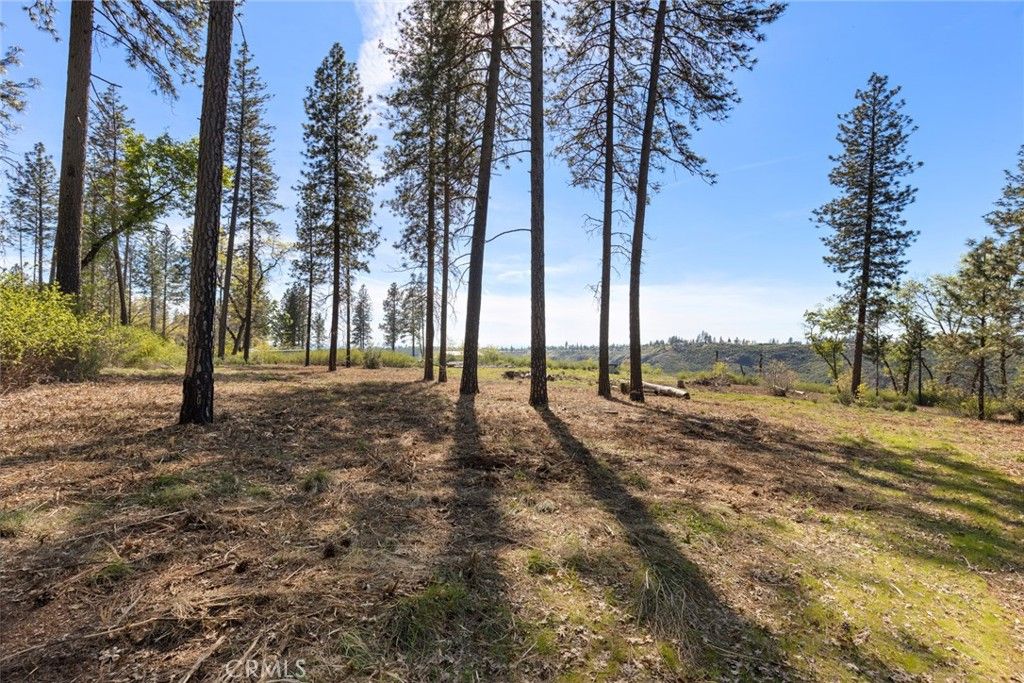 Image 4 of property listing at 2922 Lost Ridge Way, Oroville, CA 95965
