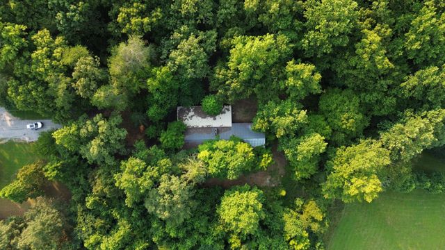276 Oak Road, Spring City, TN 37381