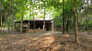 276 Oak Road, Spring City, TN 37381