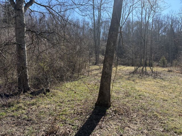15634 Old State Highway 28, Pikeville, TN 37367