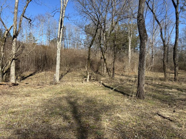 15634 Old State Highway 28, Pikeville, TN 37367