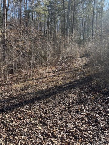 15634 Old State Highway 28, Pikeville, TN 37367