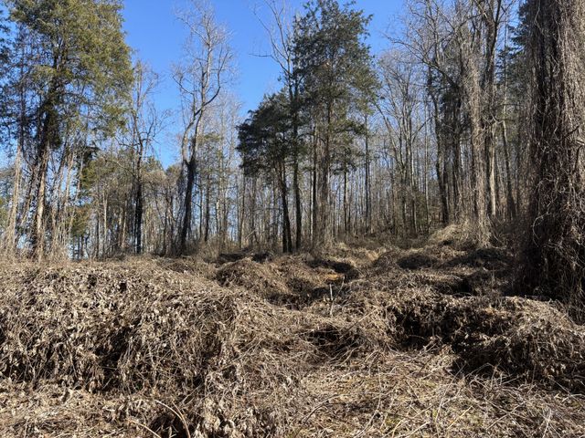 15634 Old State Highway 28, Pikeville, TN 37367