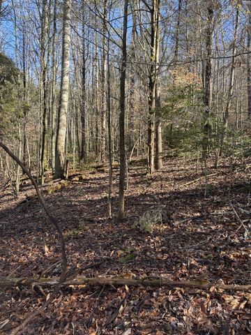 15634 Old State Highway 28, Pikeville, TN 37367