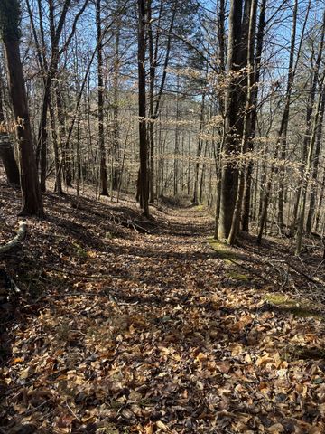 15634 Old State Highway 28, Pikeville, TN 37367