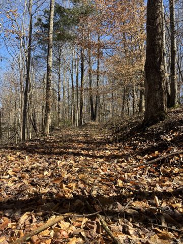 15634 Old State Highway 28, Pikeville, TN 37367